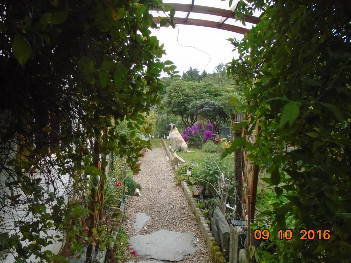 La Mare Aux Fees Bed & Breakfast Уегоа Екстериор снимка