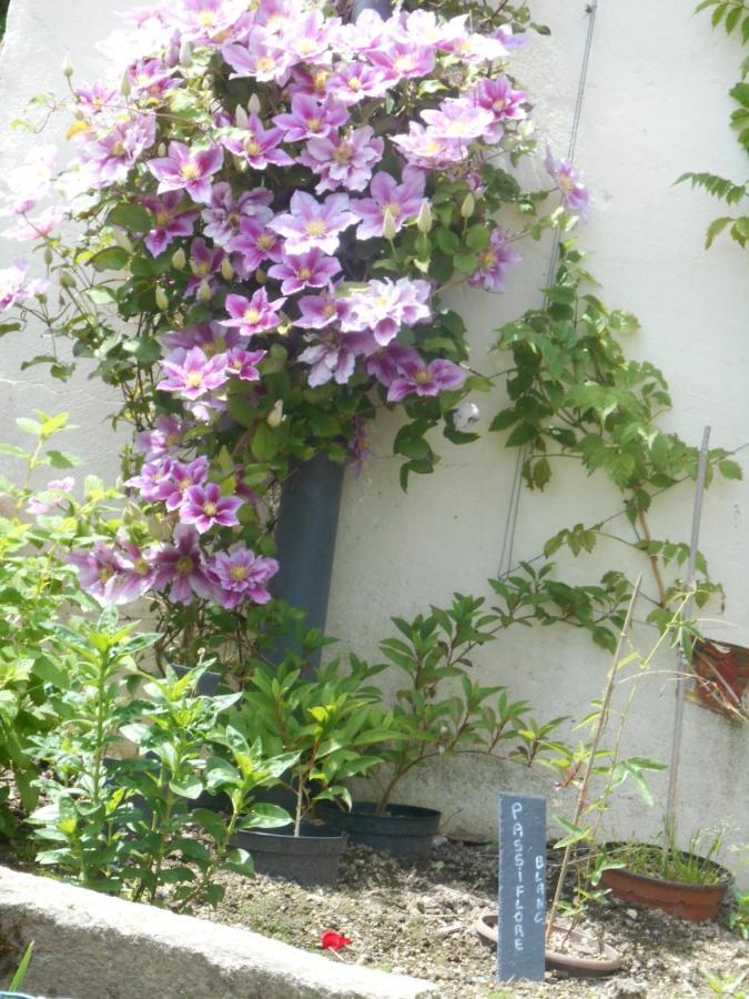 La Mare Aux Fees Bed & Breakfast Уегоа Екстериор снимка